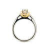 Picture of Platinum Round Diamond Engagement Ring